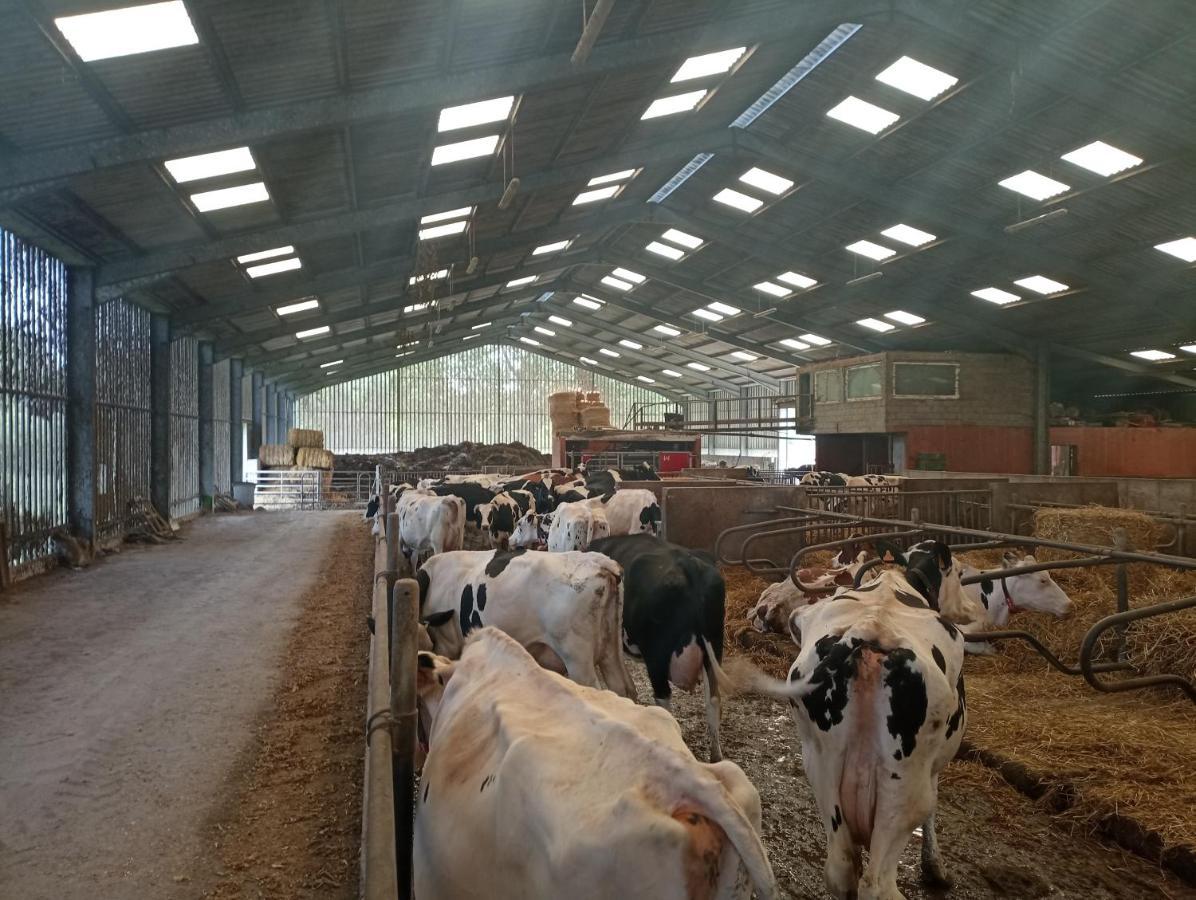 Gite A La Ferme Chez Magali Escaudoeuvres المظهر الخارجي الصورة